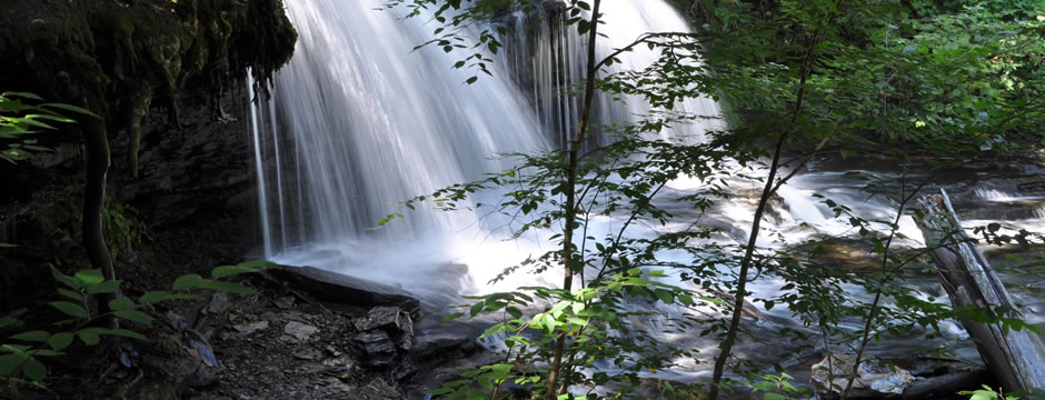 免费ddos平台攻击